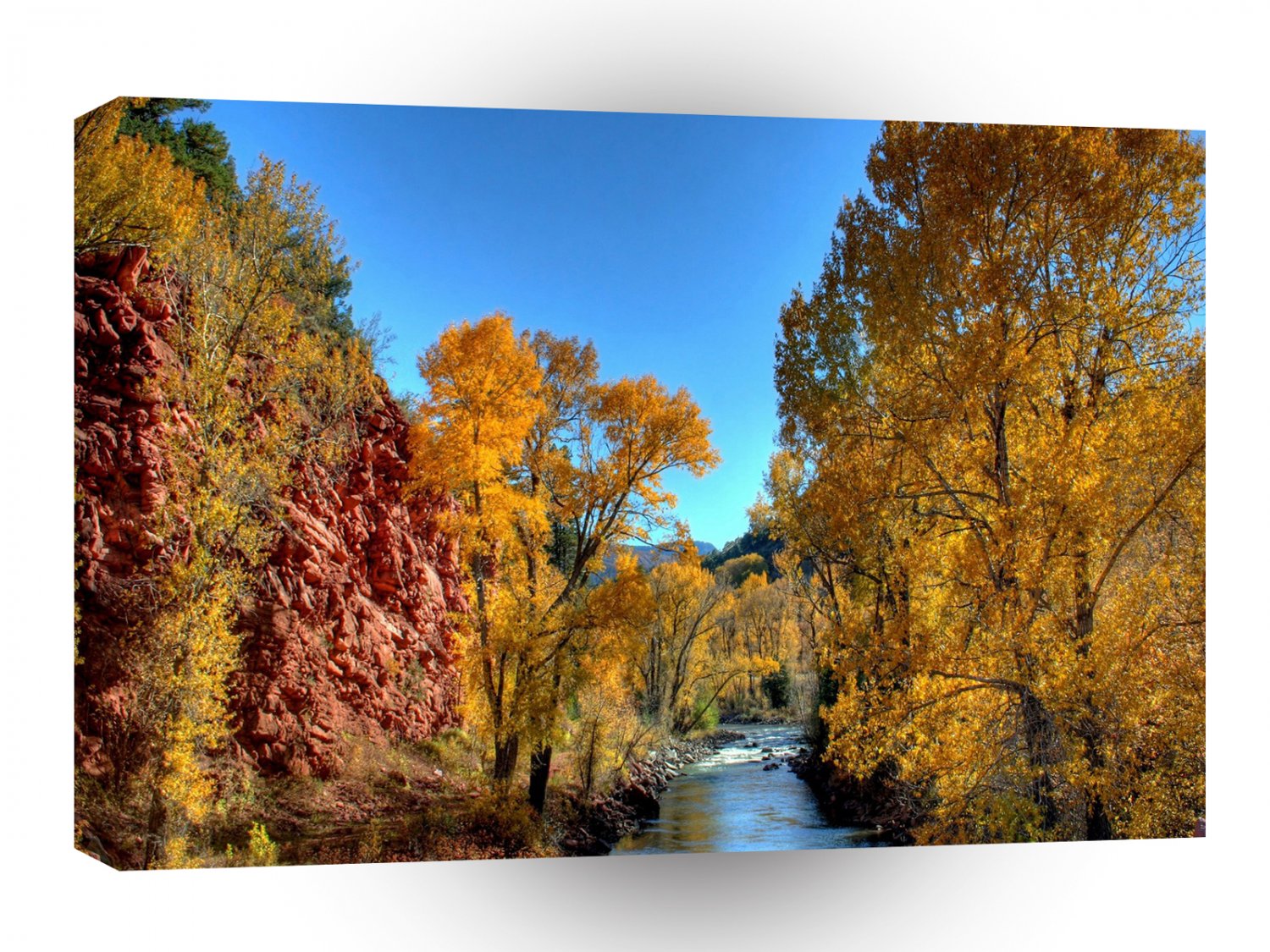 Tree Autumn Leaves River A1 XLarge Canvas