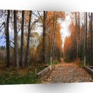 Tree Autumn Shade A1 XLarge Canvas