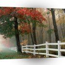 Tree Autumn Splendor A1 XLarge Canvas