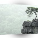 Tree Buzzards Roost Fall Creek Falls A1 XLarge Canvas