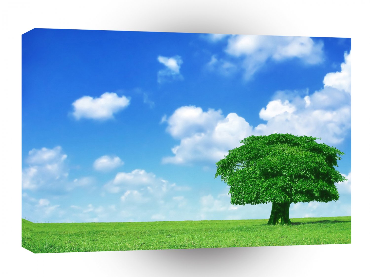 Tree Cape A1 XLarge Canvas