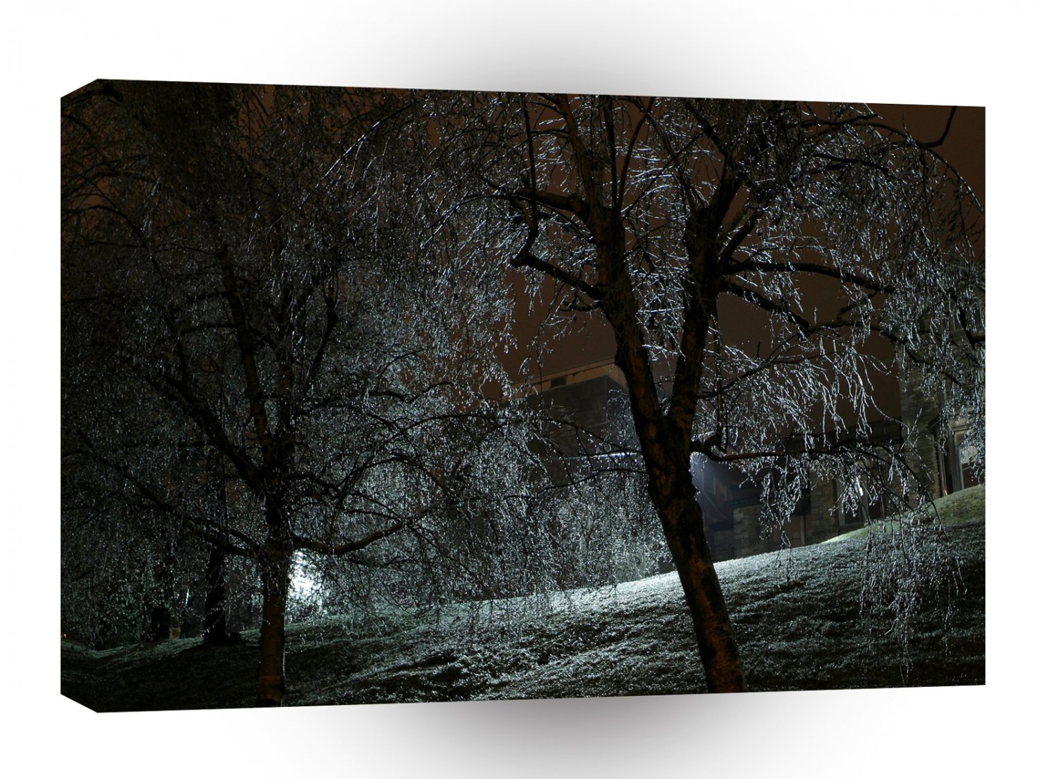 Tree Dark Wood A1 XLarge Canvas