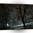 Tree Dark Wood A1 XLarge Canvas