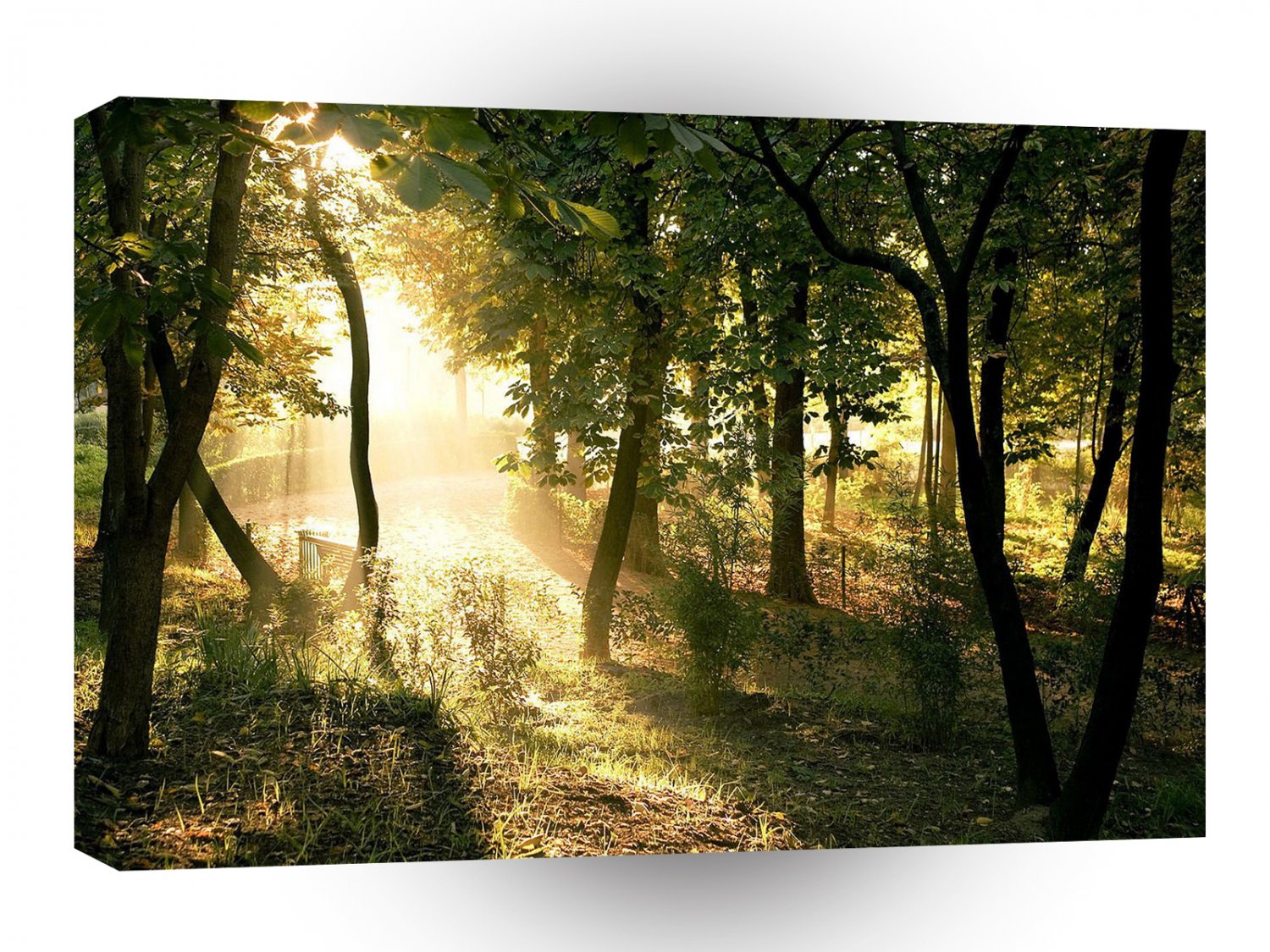 Tree Dawn In Madrid A1 XLarge Canvas