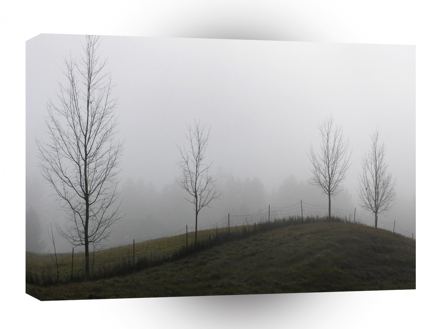 Tree Dewy Meadow A1 XLarge Canvas