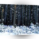 Tree Eastern White Pine Pocono A1 XLarge Canvas