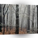 Tree Forest Frost Edwin Nashville A1 XLarge Canvas