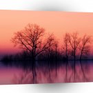 Tree Gloomy Wood A1 XLarge Canvas