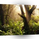 Tree Gloomy Woods A1 XLarge Canvas