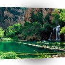 Tree Hanging Lake Glenwood Canyon Colorado A1 XLarge Canvas