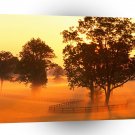 Tree Horse Farm Sunrise Kentucky A1 XLarge Canvas