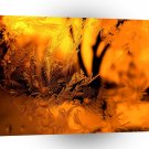 Tree Ice Glass A1 XLarge Canvas