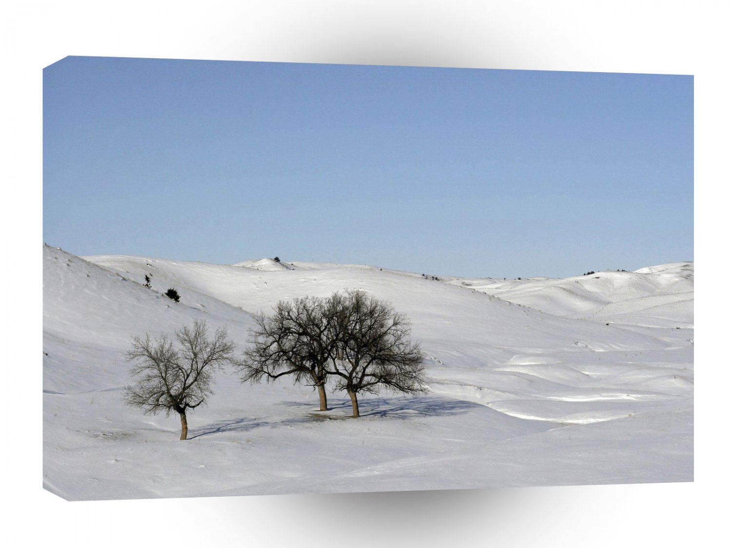 Tree Icey Snowscape A1 XLarge Canvas