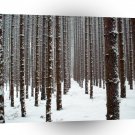 Tree Intrepid Icey Outlook A1 XLarge Canvas