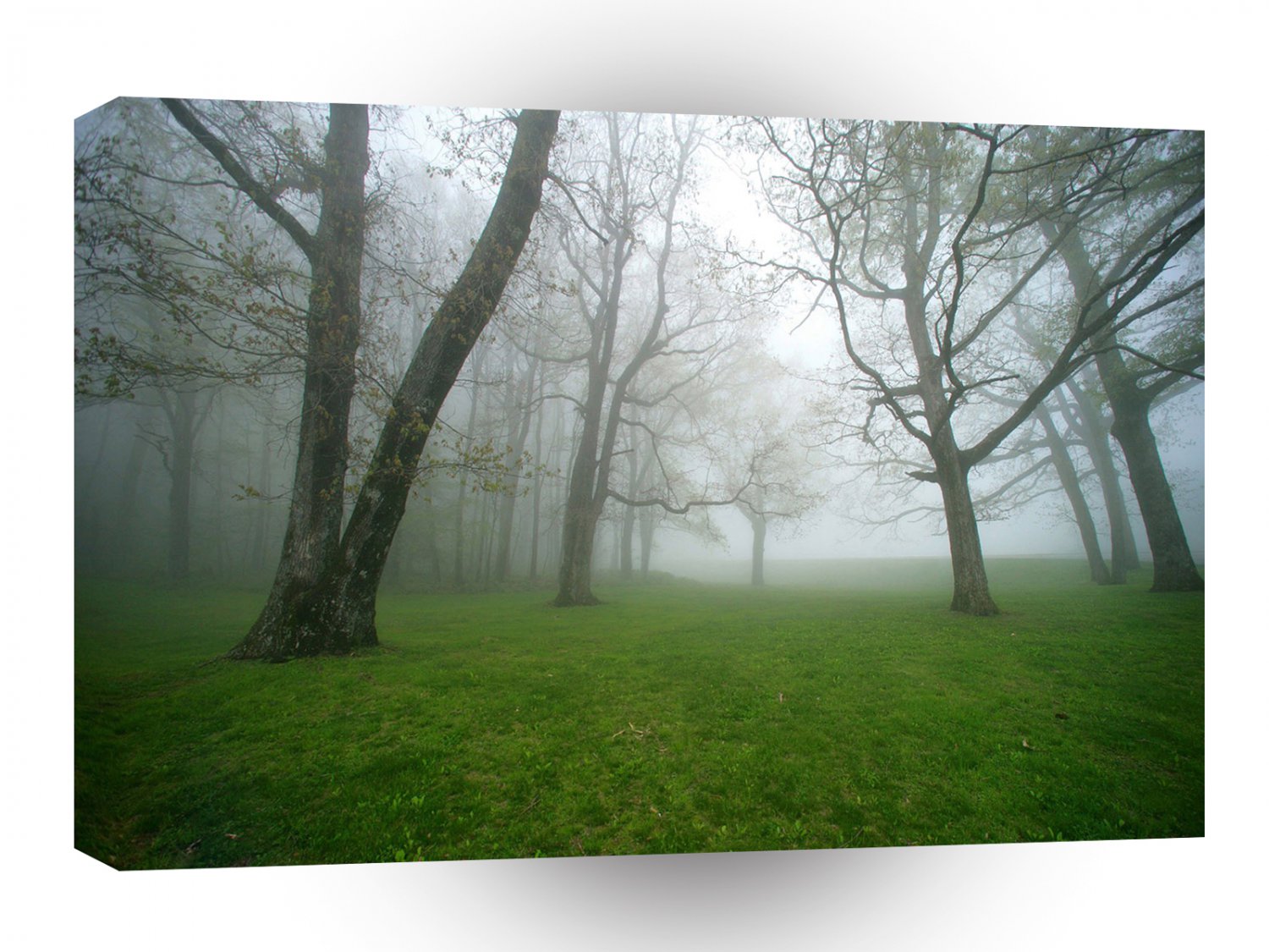 Tree Land A1 XLarge Canvas