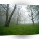 Tree Land A1 XLarge Canvas