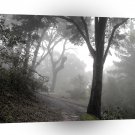 Tree Misty Woods A1 XLarge Canvas