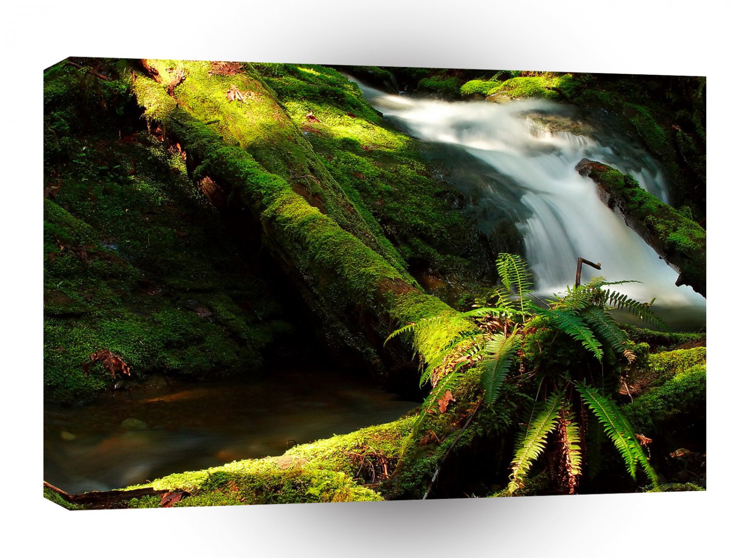 Tree Mossy Falls A1 XLarge Canvas