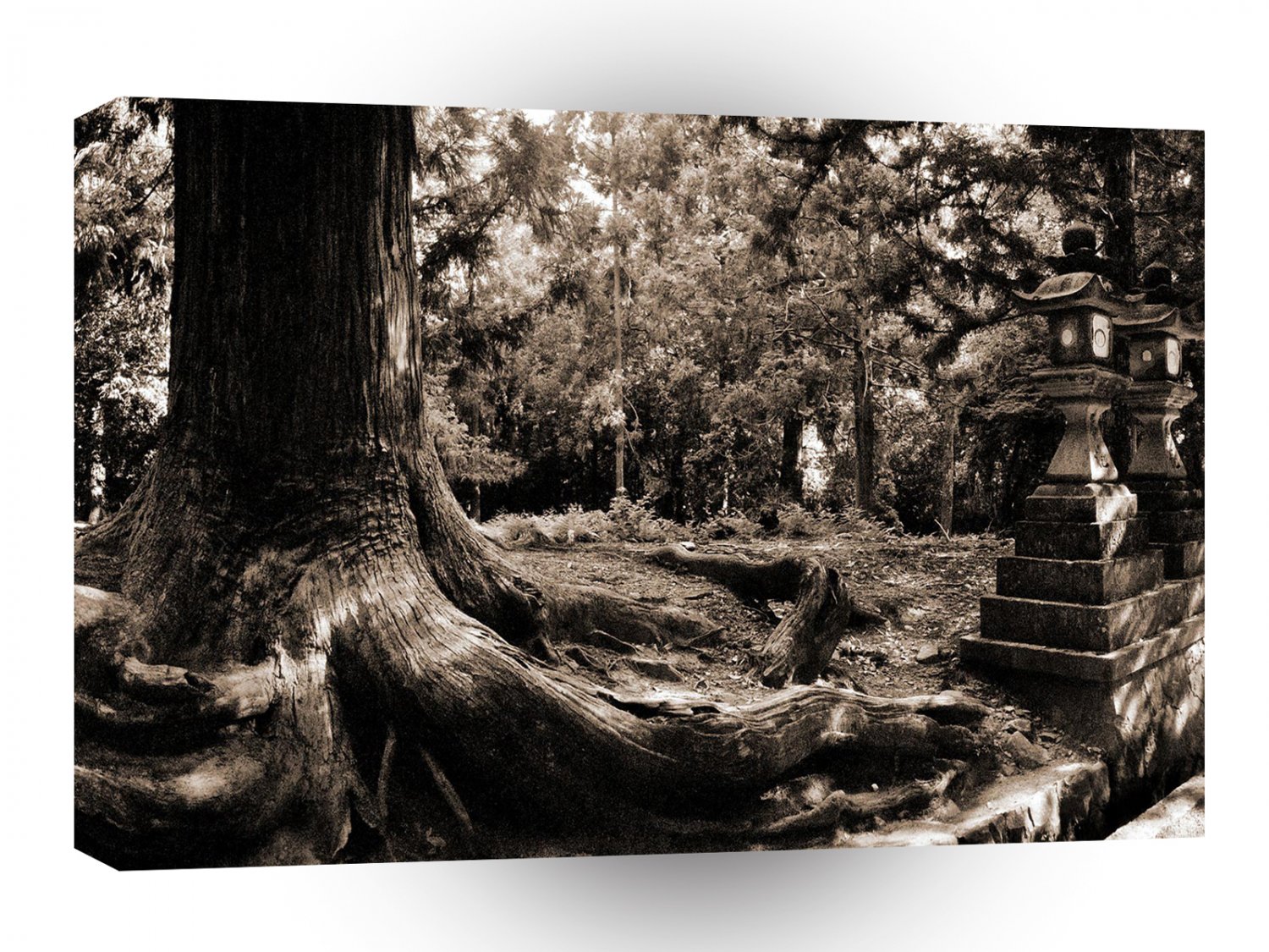 Tree Nara Forest A1 XLarge Canvas