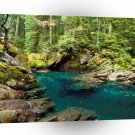 Tree Ohanapecosh River Mt Rainier A1 XLarge Canvas