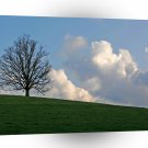 Tree One Hill A1 XLarge Canvas