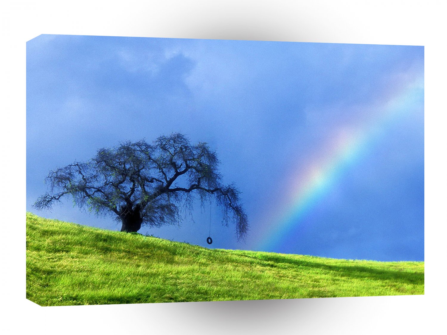 Tree Rope Swing Rainbow A1 XLarge Canvas