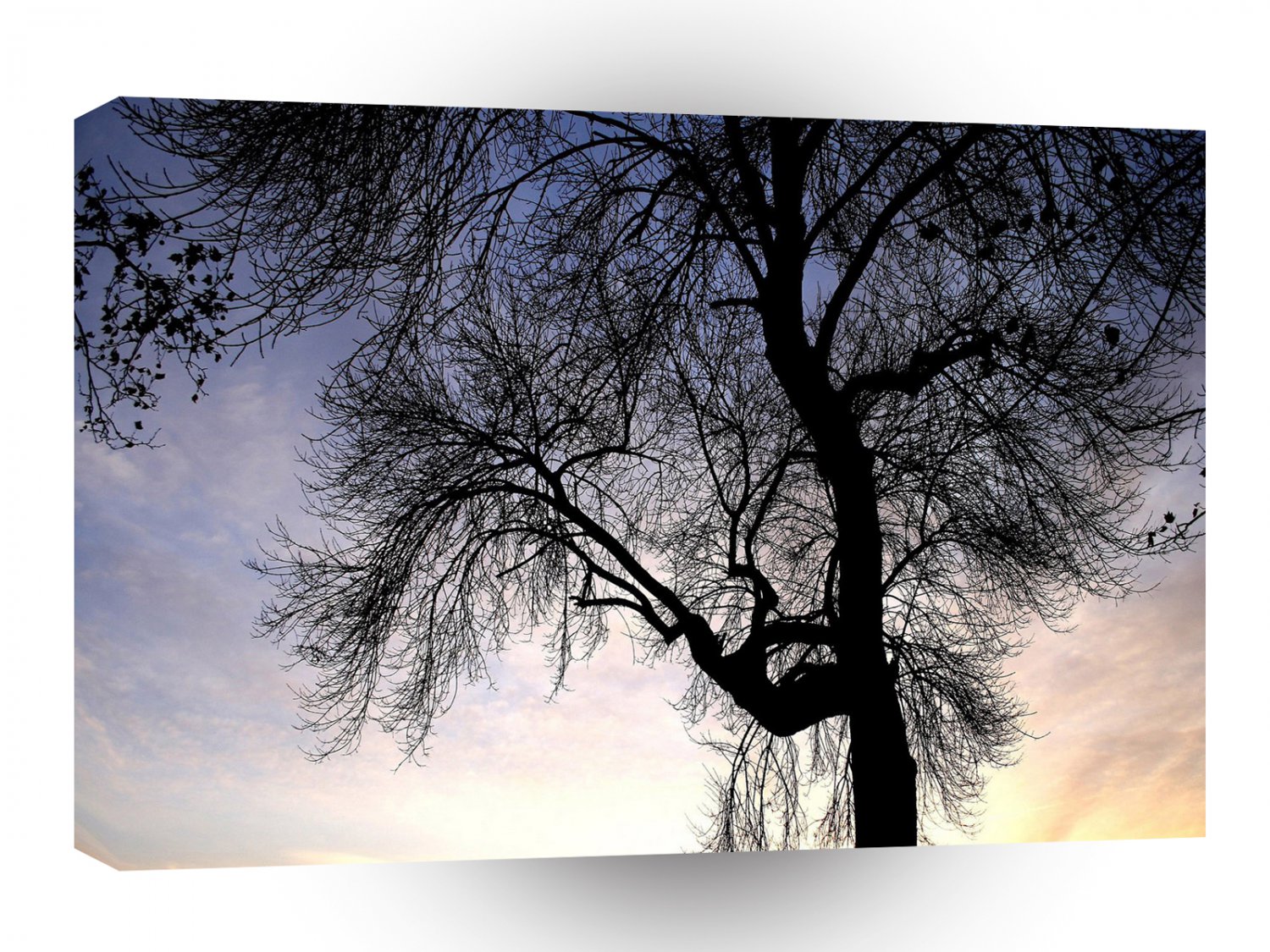 Tree Sky Sunset A1 XLarge Canvas