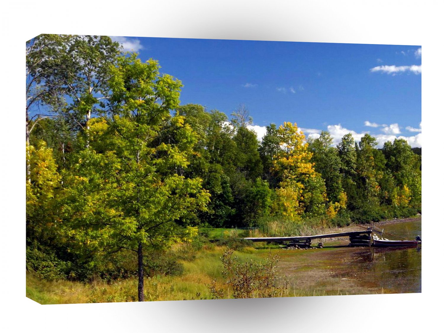 Tree Summer River Boat A1 XLarge Canvas