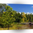Tree Summer River Boat A1 XLarge Canvas