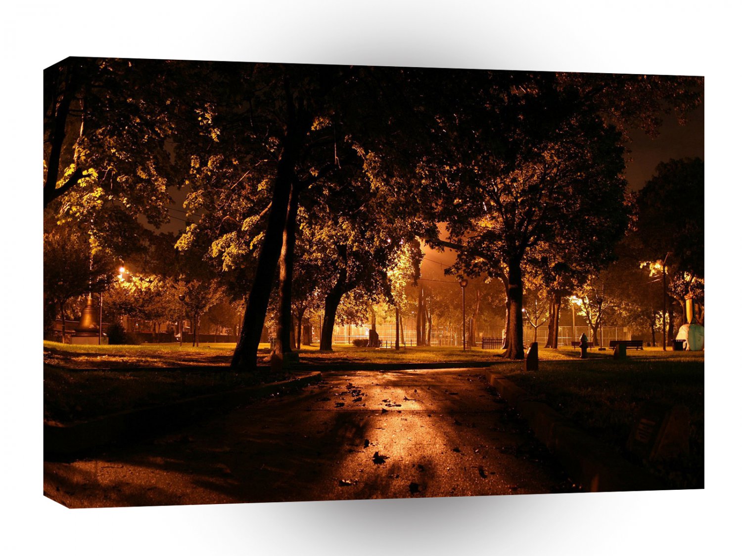 Tree Sunset Woods A1 XLarge Canvas