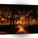 Tree Sunset Woods A1 XLarge Canvas