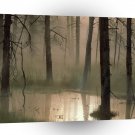 Tree Swamped Montana A1 XLarge Canvas