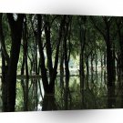 Tree Swampy Moores A1 XLarge Canvas