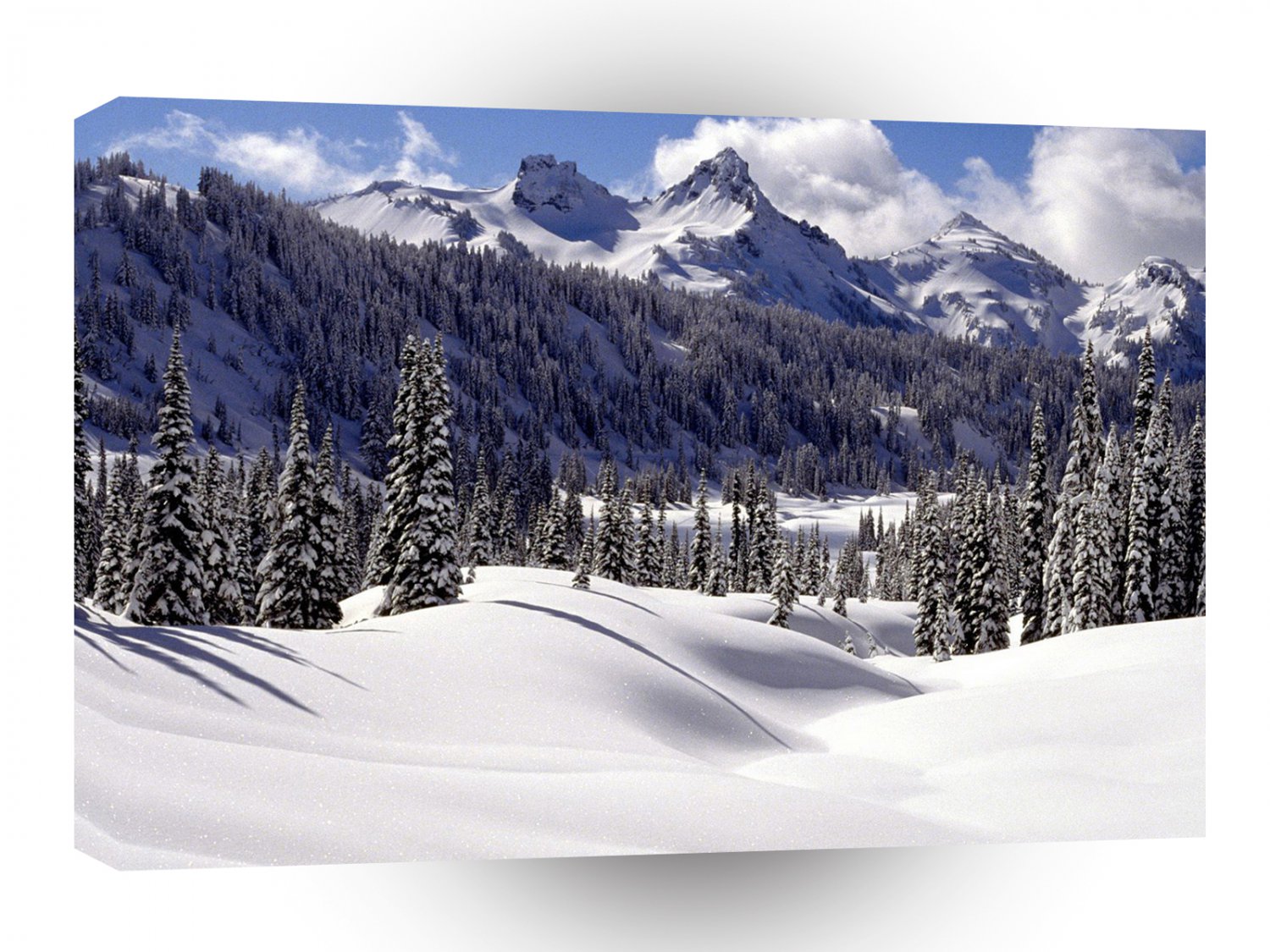 Tree Tatoosh Range Mount Rainier A1 XLarge Canvas