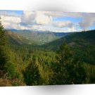 Tree Valley Of Green A1 XLarge Canvas