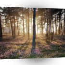 Tree Wild Forest Floor A1 XLarge Canvas