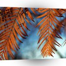 Tree Windcatchers A1 XLarge Canvas