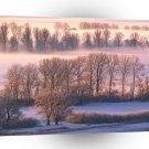 Trees Misty Morn A1 XLarge Canvas