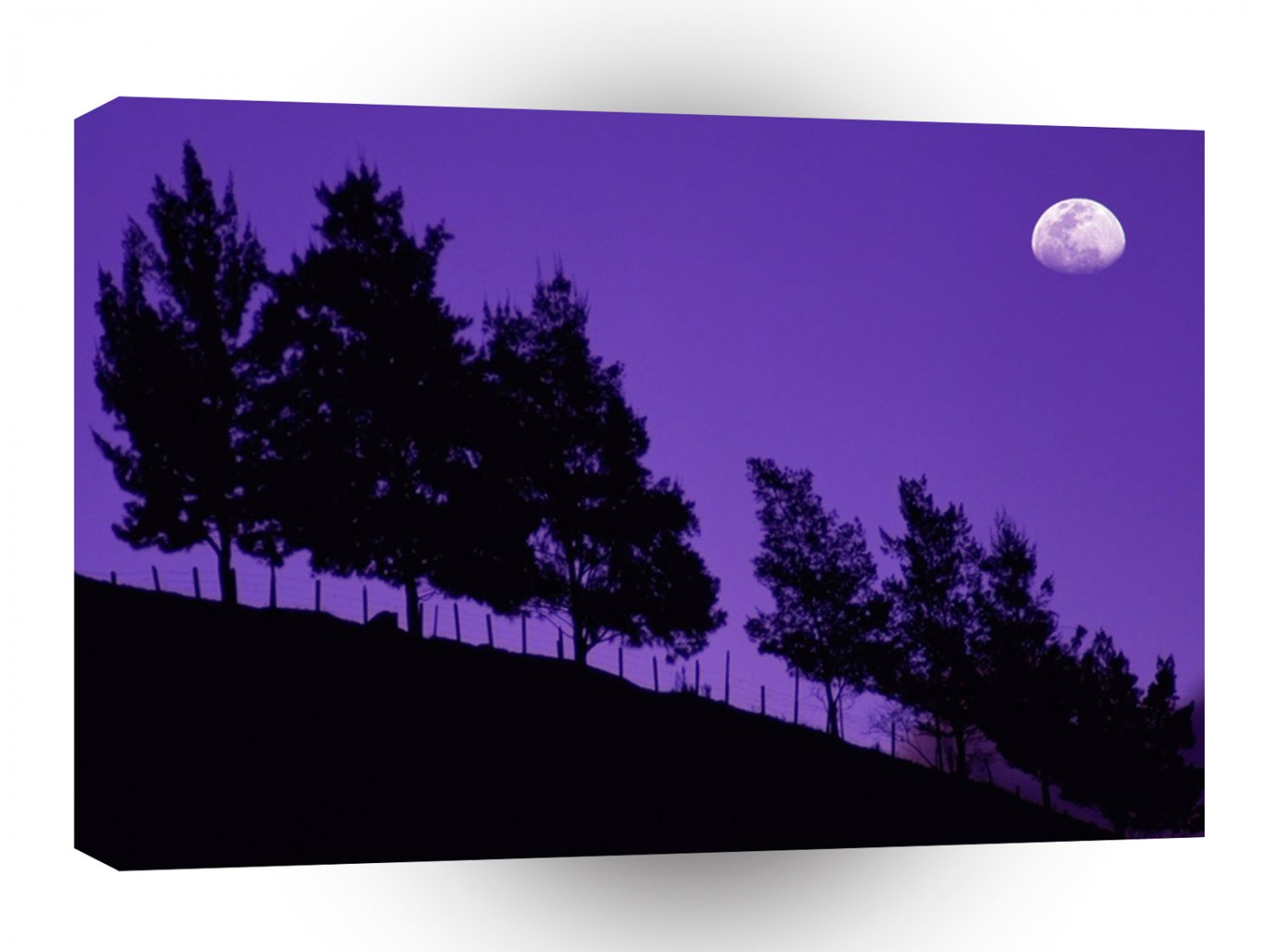 Trees Serra Dos Orgaos Teresopolis Brazil A1 XLarge Canvas