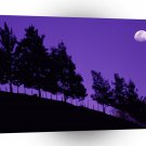 Trees Serra Dos Orgaos Teresopolis Brazil A1 XLarge Canvas