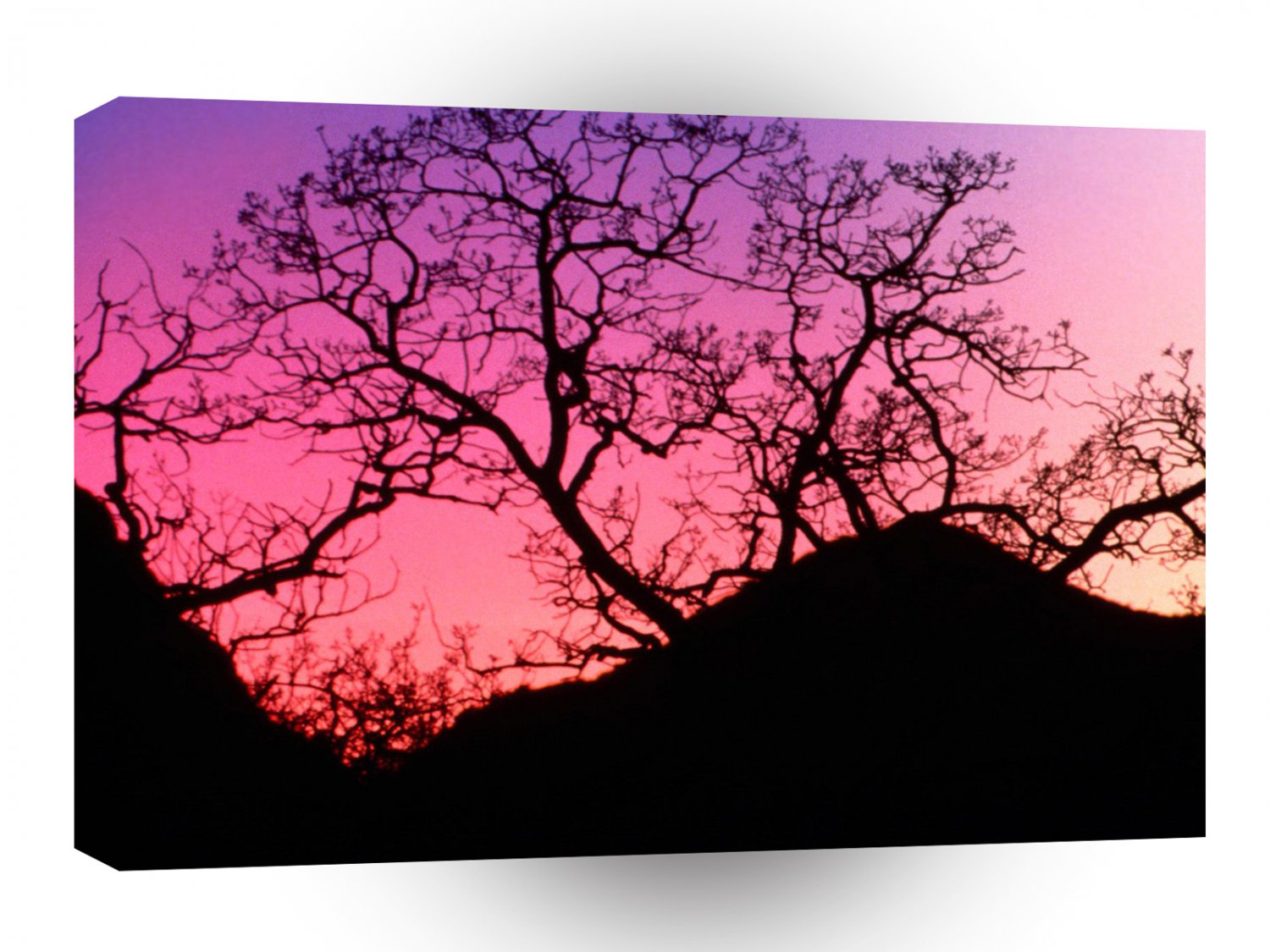 Trees Winter Dusk A1 XLarge Canvas