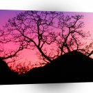 Trees Winter Dusk A1 XLarge Canvas