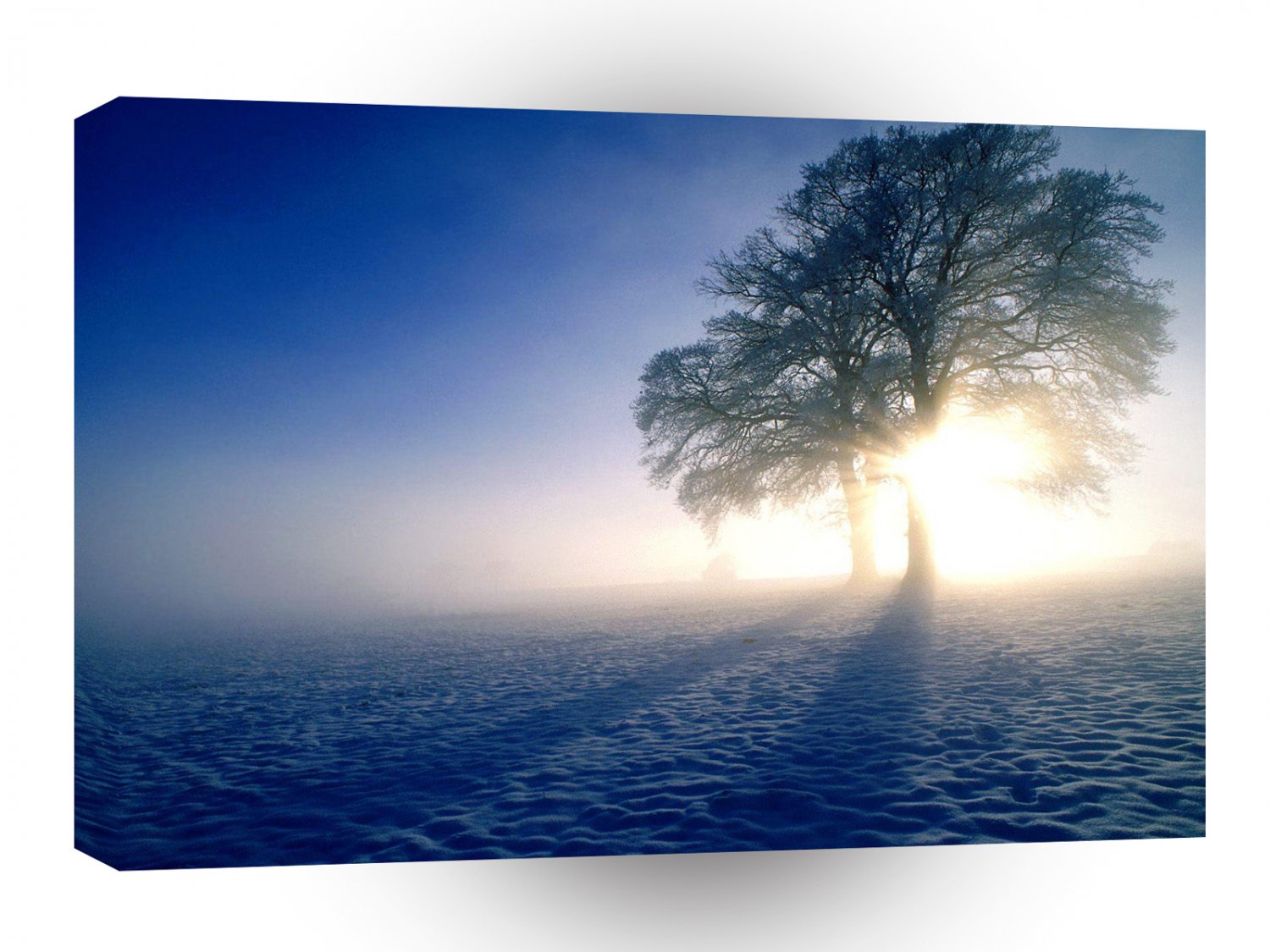 Trees Winter Inspirations Oak A1 XLarge Canvas