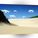 Tropical In The Dunes A1 XLarge Canvas