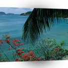Tropical Island Friendship Bay Bequia A1 XLarge Canvas