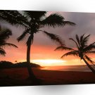Tropical Island Palms Dominican Republic A1 XLarge Canvas