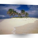 Tropical Island Sandy Anguilla A1 XLarge Canvas