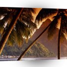 Tropical Island The Piton Soufriere St Lucia A1 XLarge Canvas