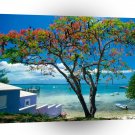 Tropical Island Tropical Escape Bahamas A1 XLarge Canvas