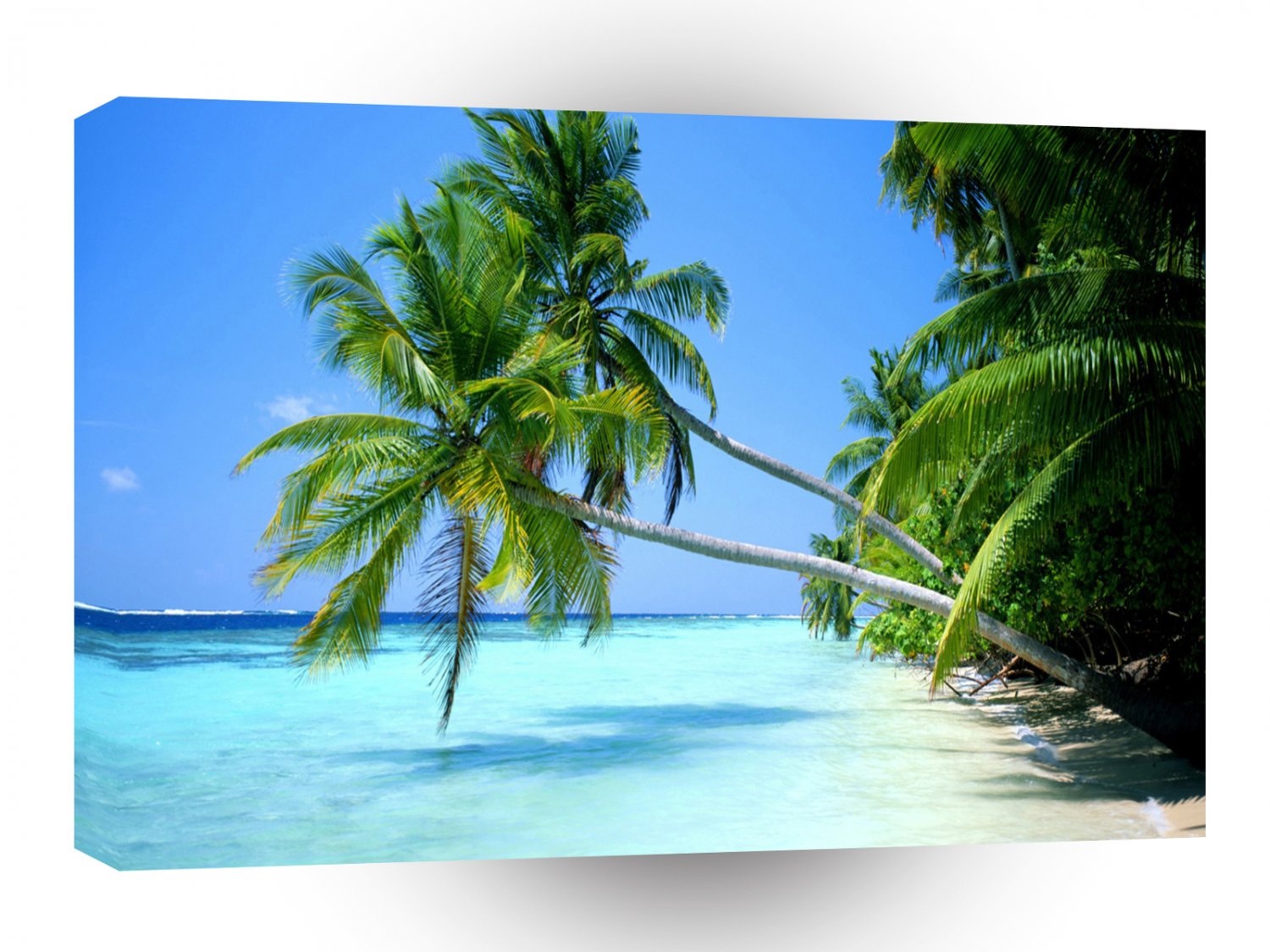 Tropical Leaning Palms Beach A1 XLarge Canvas